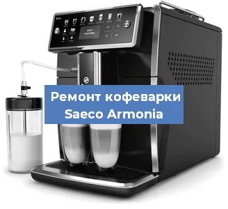 Чистка кофемашины Saeco Armonia от кофейных масел в Нижнем Новгороде